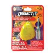 Dissect-It Discover-It Synthetic Ancient Amber Lab