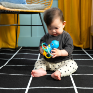 Baby EinsteinOpus’s Shake & Soothe Teether Toy & Rattle