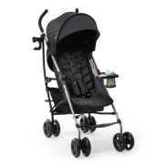 Ingenuity 3DLite Convenience Stroller