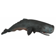 Sperm Whale X Large
