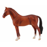 Hanoverian Stallion Chestnut X Large