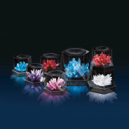 Crystal Growing Experimental Kit