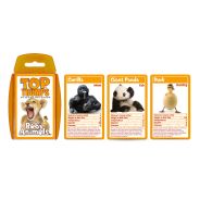  Baby Animals