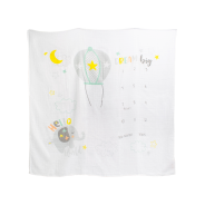 Milestone Blanket- Friendly Elephant