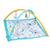 Bounce Activity Gym - Koala