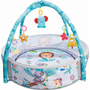 Babyplay Ball Pit & Playgym 