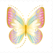 Lace Butterfly Card
