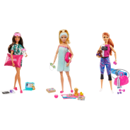 Wellness Doll and Puppy and Accessories assorted Sets