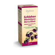 Schlehen Blackthorn Berry Elixer