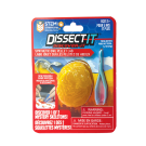 Dissect-It Discover-It Synthetic Owl Pellet Lab