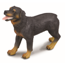 Rottweiler Large