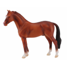 Hanoverian Stallion Chestnut X Large