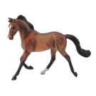 Thoroughbred Mare Bay