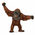 Orangutan Large