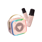 Reggies Rock Starz Sound Box With Mic