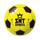 Plastic Soccer Ball