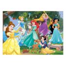  Princesses 100pc