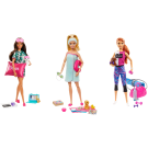 Wellness Doll and Puppy and Accessories assorted Sets