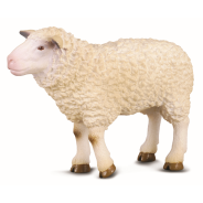 Sheep Medium