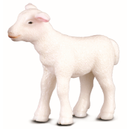 Lamb Small