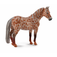 British Spotted Pony Mare Chestnut X Large