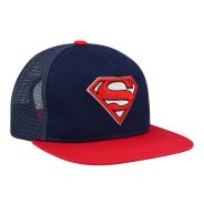 Superman 3D Logo Flatbill Cap