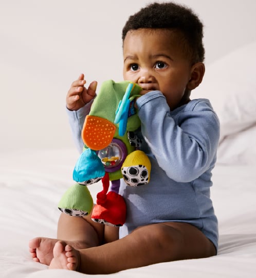 Infant Toys