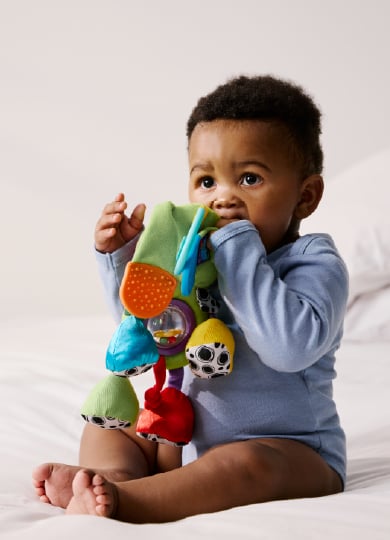 Infant Toys